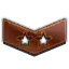 ( 110 Seviye ) Enf Bronze